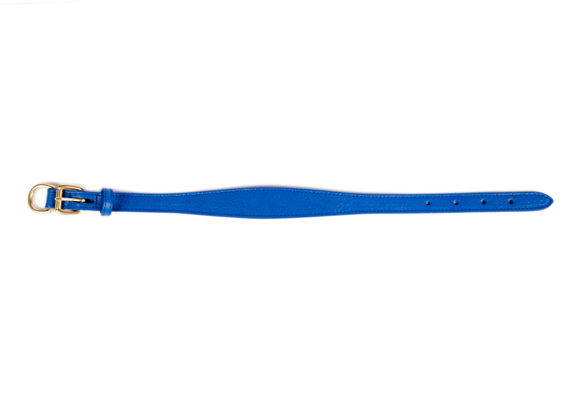 Large Leather Dog Collar Electric Blue