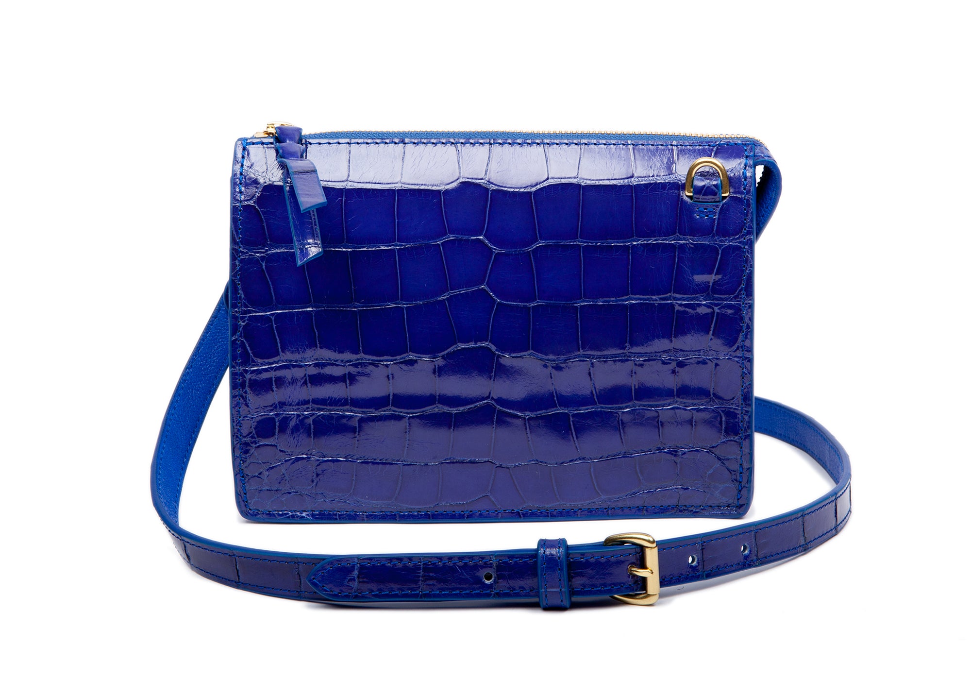 The American Alligator Tripp Electric Blue Alligator
