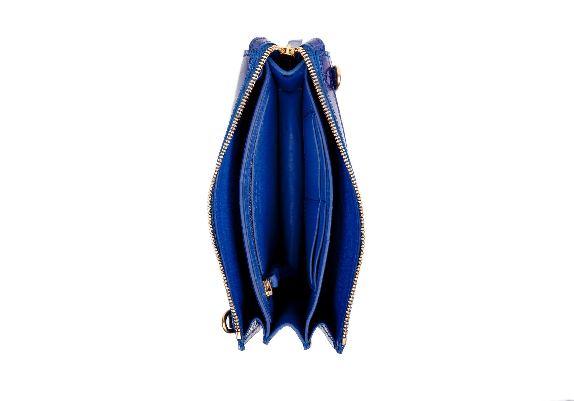 Electric Blue American Alligator Tripp Electric Blue Alligator